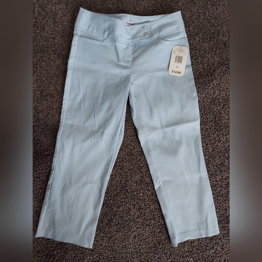 🐬 BNWT Powder blue Capris